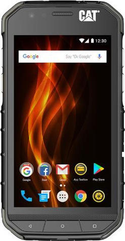 CAT S31
