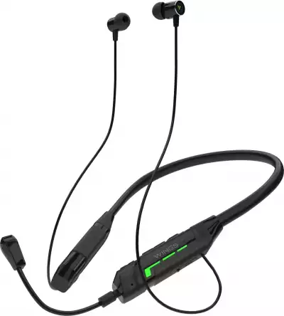 Wings WL-Phantom 1000