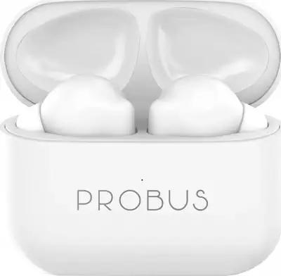 Probus A8