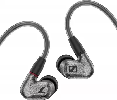 Sennheiser IE 600 Audiophile