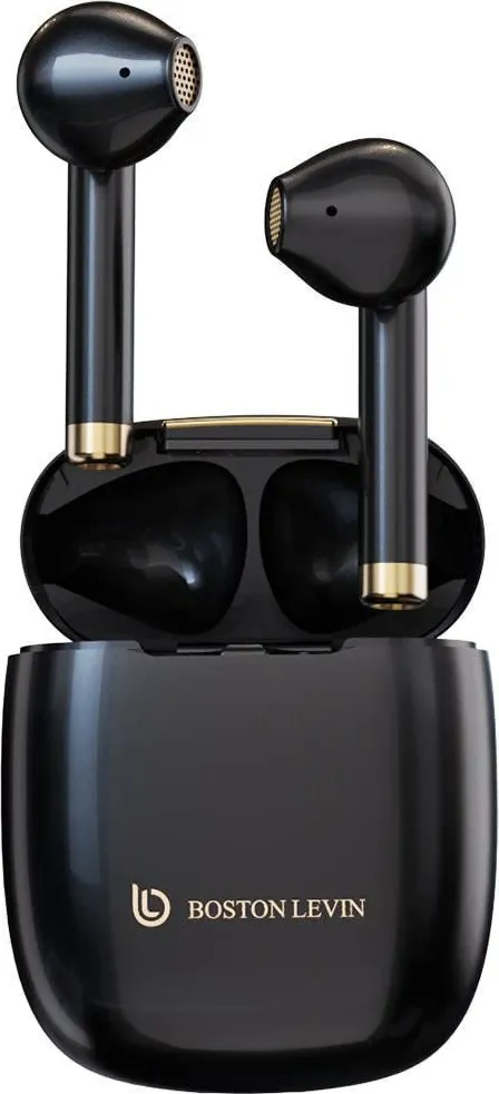 Boston Levin Storm 11x