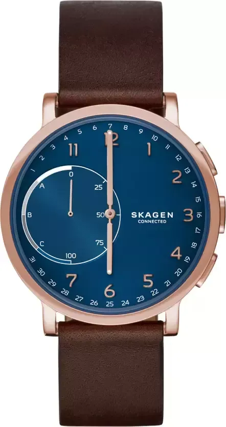 Skagen SKT1103 Hybrid